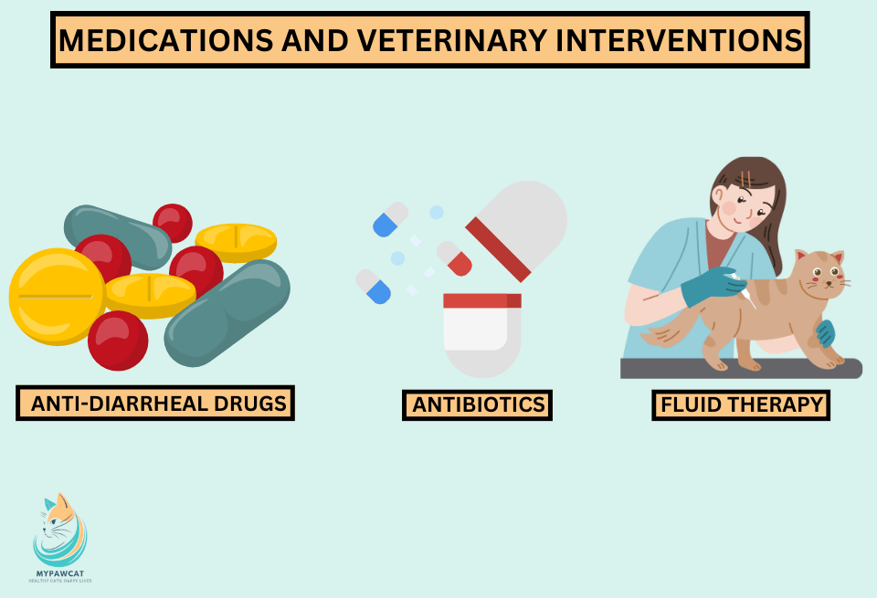 Medications and Veterinary Interventions