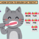 How Often Should You Brush Your Cat’s Teeth? The Ultimate Guide!