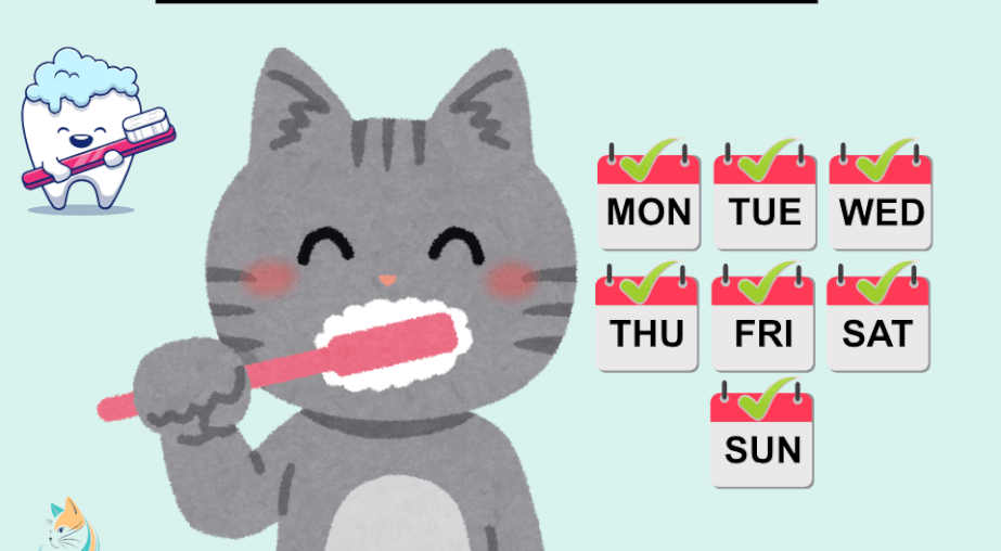 How Often Should You Brush Your Cat’s Teeth? The Ultimate Guide!