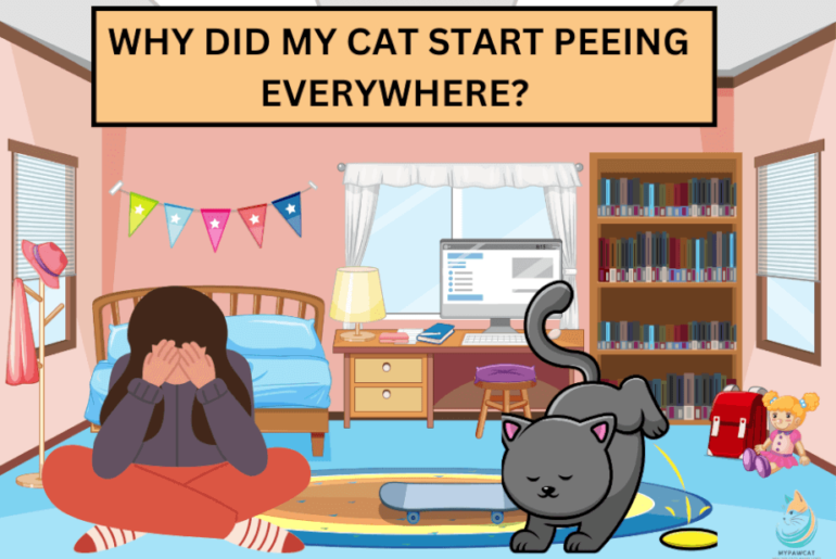 Why Is My Cat Peeing Everywhere? Causes & Fixes