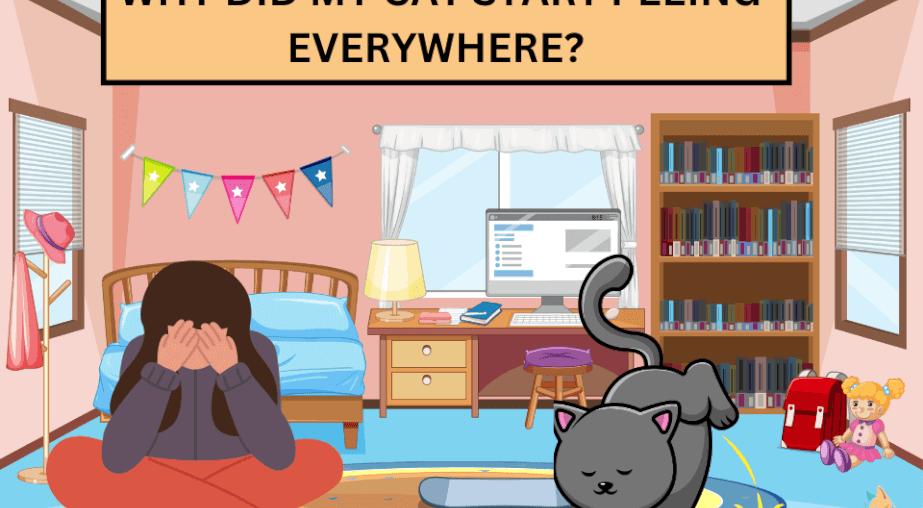 Why Is My Cat Peeing Everywhere? Causes & Fixes