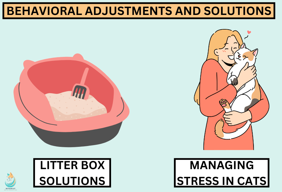 Behavioral Adjustments and Solutions