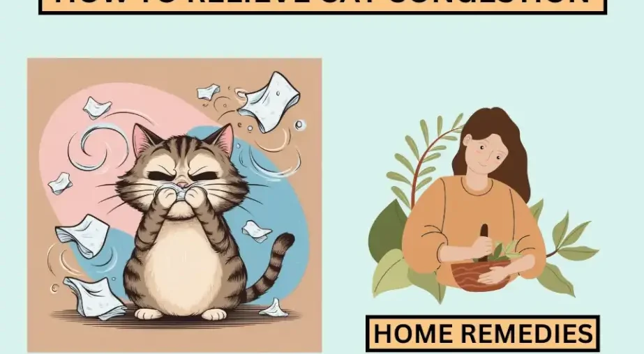 Cat Congestion Relief: Try These Effective Home Remedies Today