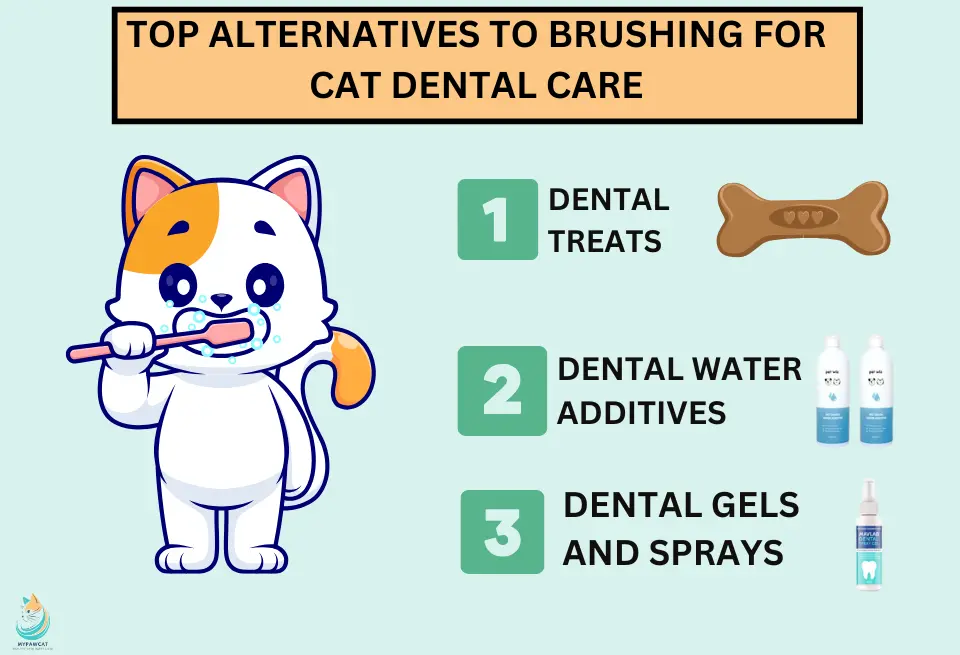 Top Alternatives to Brushing for Cat Dental Care