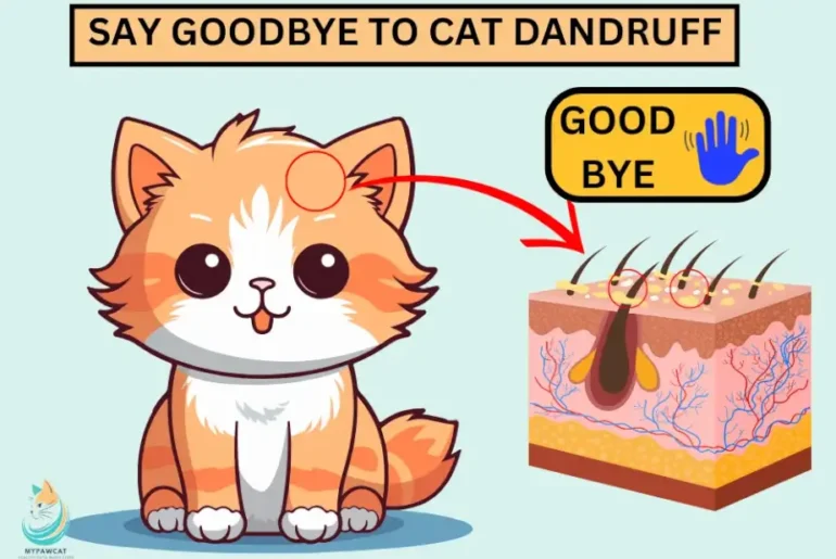 Say Goodbye to Flakes: Simple Solutions for Cat Dandruff