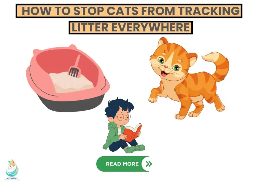 How to Stop Cats from Tracking Litter Everywhere
