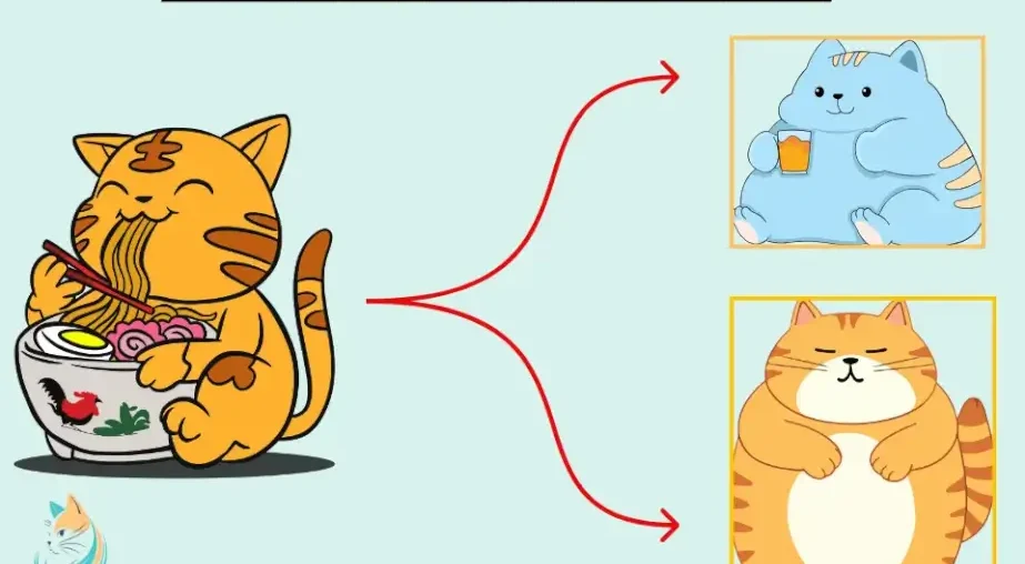 Is Your Cat Fat? 14 Surprising Reasons and Proven Ways to Help