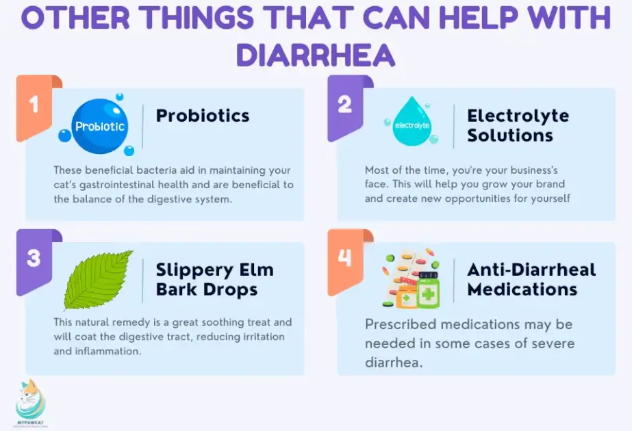 Other Things That Can Help With Diarrhea