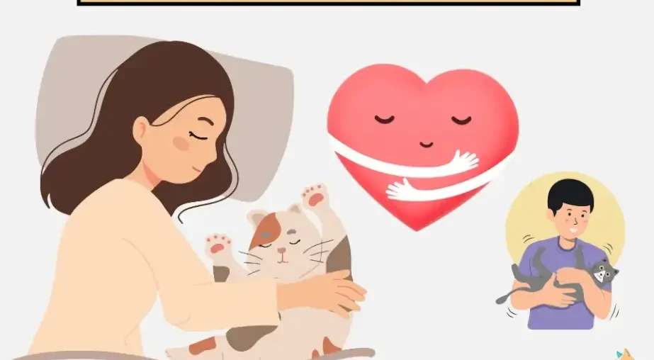 Why Cats Lay on Their Owners – 6 Real Reasons