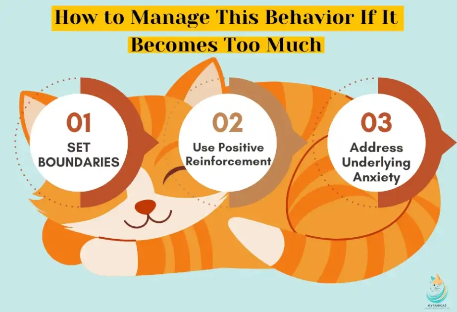How to Manage This Behavior If It Becomes Too Much