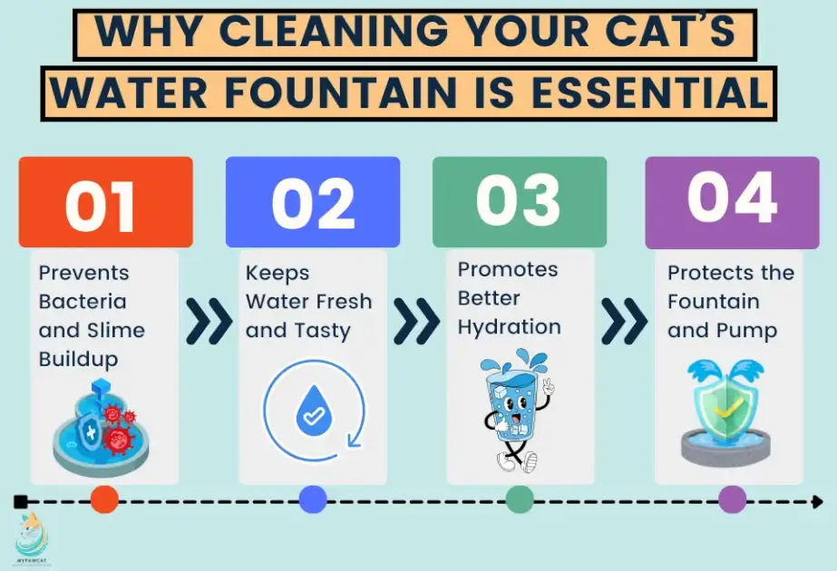 Why Cleaning Your Cat’s Water Fountain is Essential