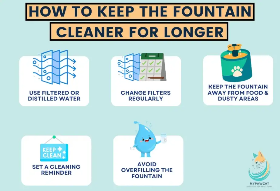 How to Keep the Fountain Cleaner for Longer