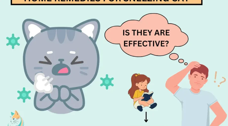 Natural Care for Sneezing Cats: Tips and Tricks