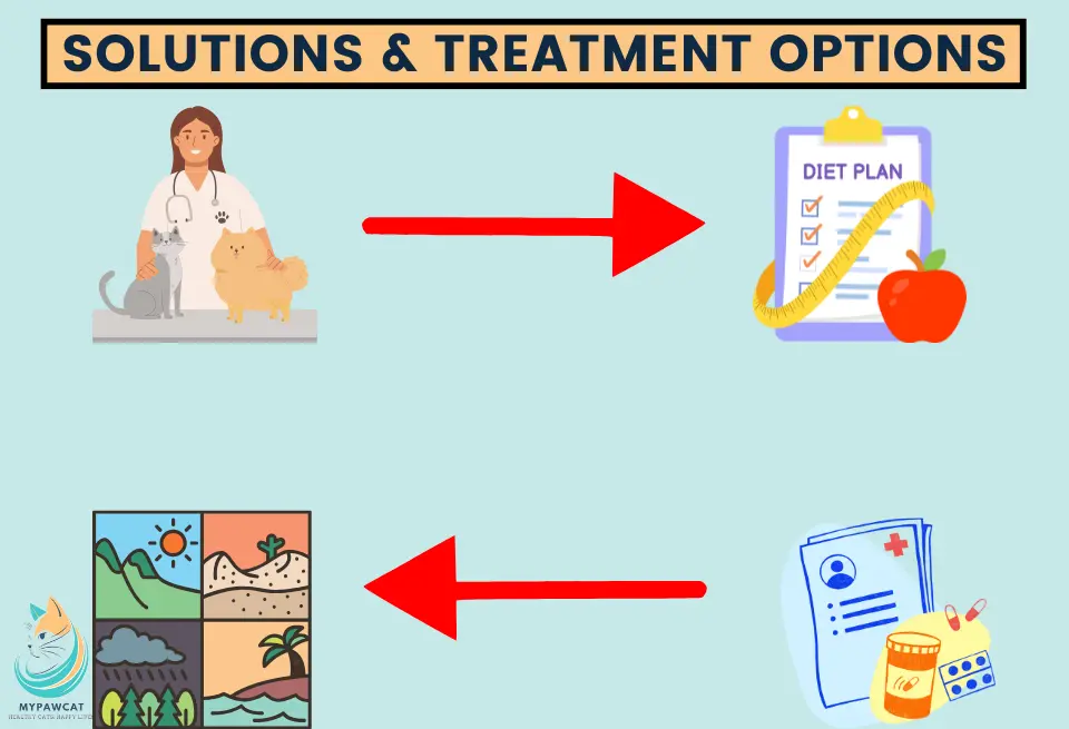 Solutions & Treatment Options